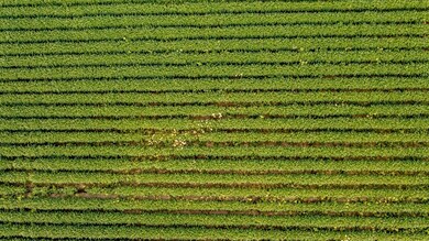 9617 Clay St, Crown Point, IN 46307 - photo 6