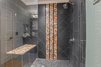 Primary Shower