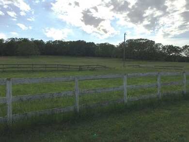 pature behind the home