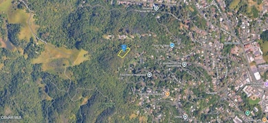 579 Scenic Rd, Fairfax, CA 94930 - photo 4