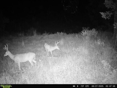 7507 E West 137 Rd, Holdenville, OK 74848 - photo 6