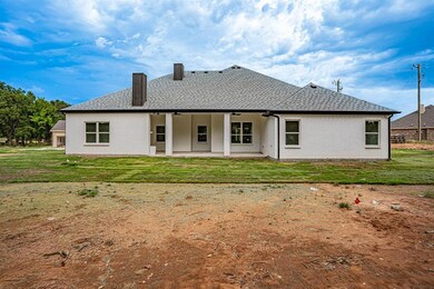 141 Bluegrass Trail, Springtown, TX 76082 - photo 6