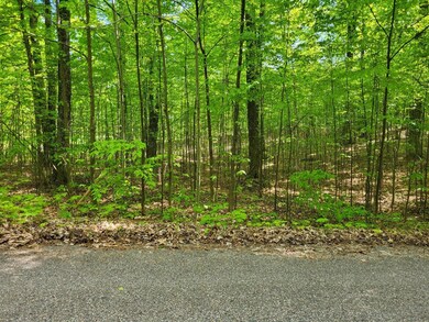 lot 23 3