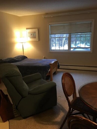 264 Main St unit 21, Lincoln, NH 03251 - photo 7