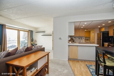 271 W 1st St unit 2B, Elmhurst, IL 60126 - photo 2