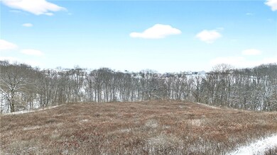 3942 Potato Garden Run Rd, Imperial, PA 15126 - photo 4