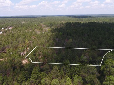 DJI_0009_100_orbit3_border