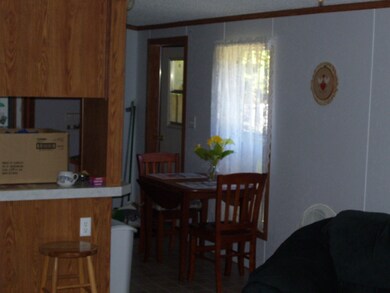 9016 W Railroad Ave, Bitely, MI 49309 - photo 5