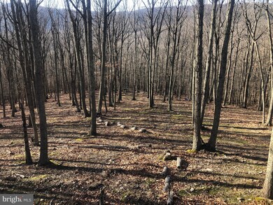 0 9 D W F unit WVHD2001218, Mathias, WV 26812 - photo 5