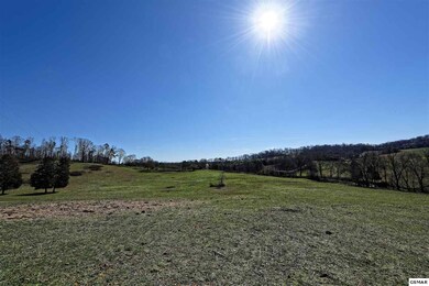 147 Frank Bend Ln, Rutledge, TN 37861 - photo 4