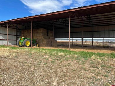 Tract 7 Road K 3, Cortez, CO 81321 - photo 5