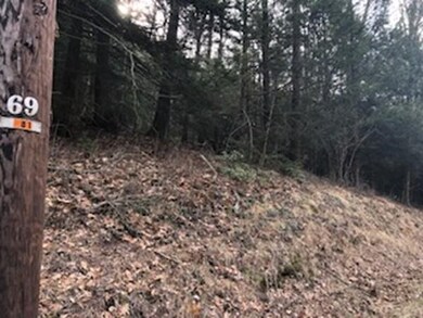 250 Brookfield Rd, Sturbridge, MA 01518 - photo 4