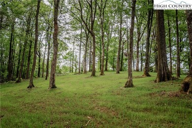 136 Day Dr, Boone, NC 28607 - photo 5