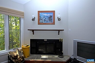 463 3 Ridges, Wintergreen Resort, VA 22967 - photo 2