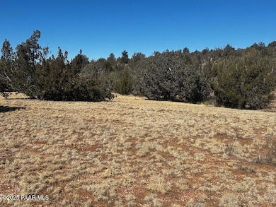 32412 Ancho Rd, Seligman, AZ 86337 - photo 2