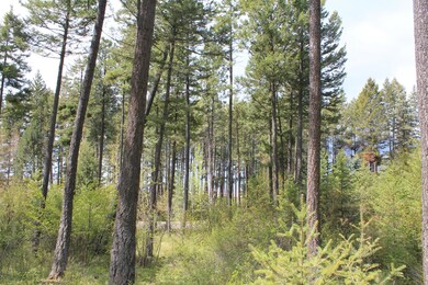 15 Romain Dr, Bigfork, MT 59911 - photo 7