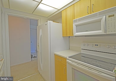 Treebrooke unit 308, Oakton, VA 22124 - photo 3