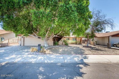 01-6825-W-Denton-Ln-Darwin-Wall-16