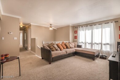2582 McIntosh-16
