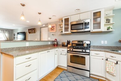 11 Linden St unit 1, Boston, MA 02127 - photo 6