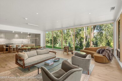 103 Willow Rd unit 107, Basalt, CO 81621 - photo 6