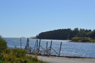 DSC_7447