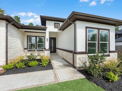 Elegant stucco elevation