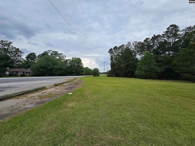 0 Us Hwy 176 unit 608437, Pomaria, SC 29126 - photo 7
