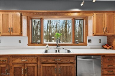 3600 Hunting Run Rd, Medina, OH 44256 - photo 5