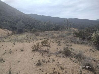 67 Spring, Bodfish, CA 93205 - photo 7