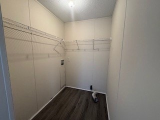 804 Monroe Ln, Oak Grove, KY 42262 - photo 3