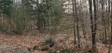 0 Under the Mountain Rd unit 1 4905343, Lyman, NH 03585 - photo 3