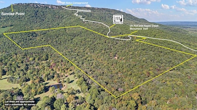 0 Arkansas 155, Dardanelle, AR 72834 - photo 2