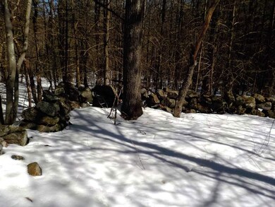 00 Calef Hill Rd unit Lot 405, Franklin, NH 03235 - photo 5