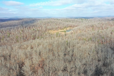 Tbd County Road 118, Annapolis, MO 63620 - photo 5