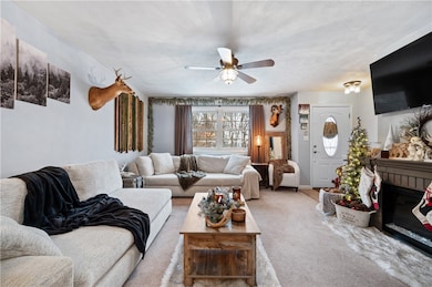 712 Lafayette Dr, Clairton, PA 15025 - photo 5