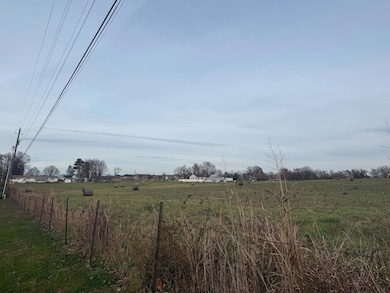 000 Red Springs Rd, Mountain Grove, MO 65711 - photo 4