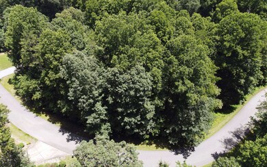 Additional View