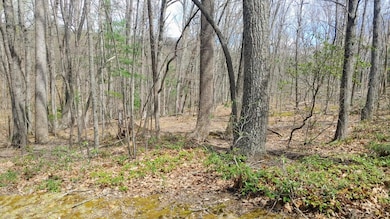 0 Timber Trail Ln unit 923365, Boone, VA 24101 - photo 5