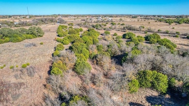 TBD-1 Thompson Rd, Weatherford, TX 76087 - photo 4