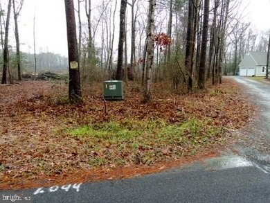 Lot 5 Asketum Branch Rd unit 5, Georgetown, DE 19947 - photo 6