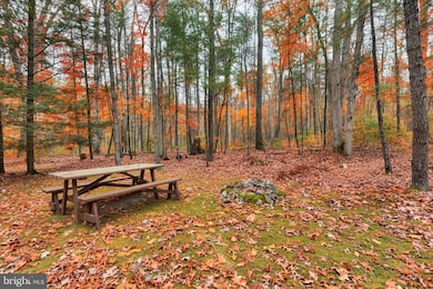 460 Rocky Mountain Rd, Fayetteville, PA 17222 - photo 5