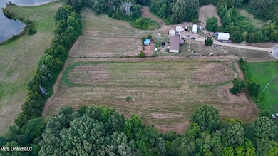 dji_fly_20250804_201214_0015_17543563674