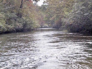 436 Applewood Ln, Dahlonega, GA 30533 - photo 4