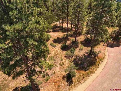 0 Engine Creek Ct unit 769146, Durango, CO 81301 - photo 3