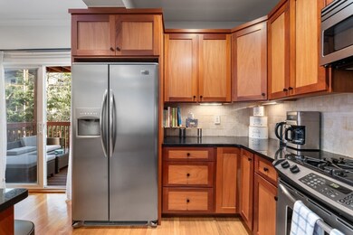 10 Peters St unit 2, Boston, MA 02127 - photo 4