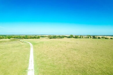 County Road 781, Donie, TX 75838 - photo 7