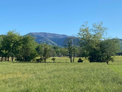 Mountain View 2