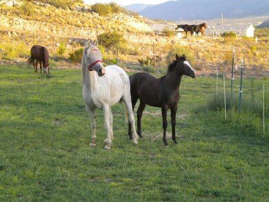 unlisted-address, Cornville, AZ 86325 - photo 3