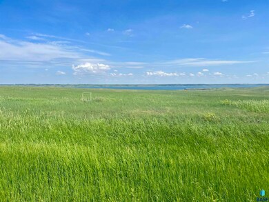 28057 Cactus Flat Dr Dr, Fort Pierre, SD 57532 - photo 7